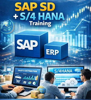Best SAP SD Training Institute
